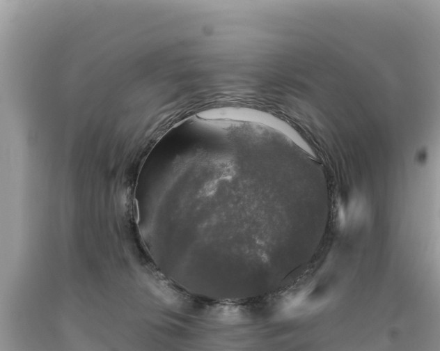 X0000093740276200710231217