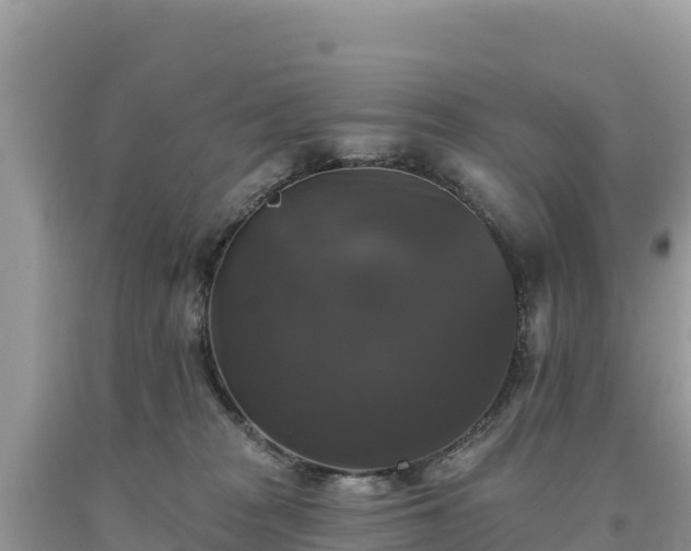 X0000093740277200710231217