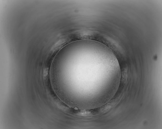 X0000093740278200710231217