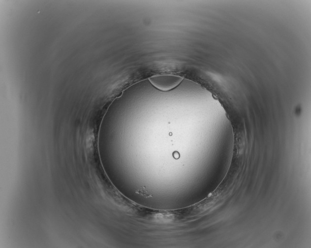 X0000093740279200710231217