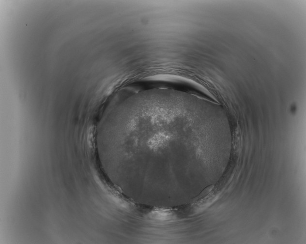 X0000093740280200710231218