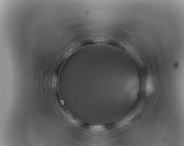 X0000093740281200710231218