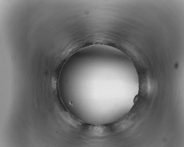 X0000093740282200710231218