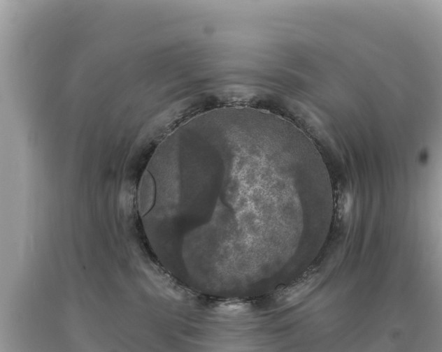 X0000093740283200710231218