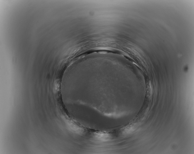 X0000093740284200710231218