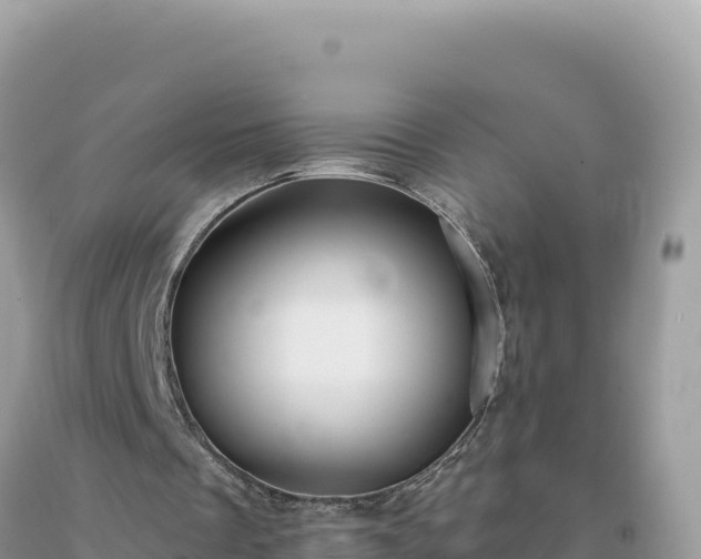 X0000093740289200710231217