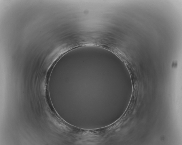 X0000093740290200710231217