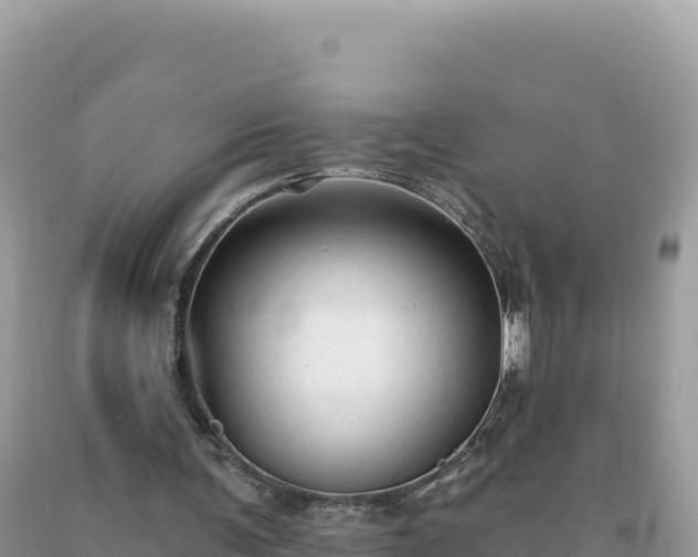 X0000093740291200710231217