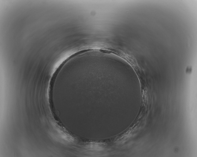 X0000093740292200710231217