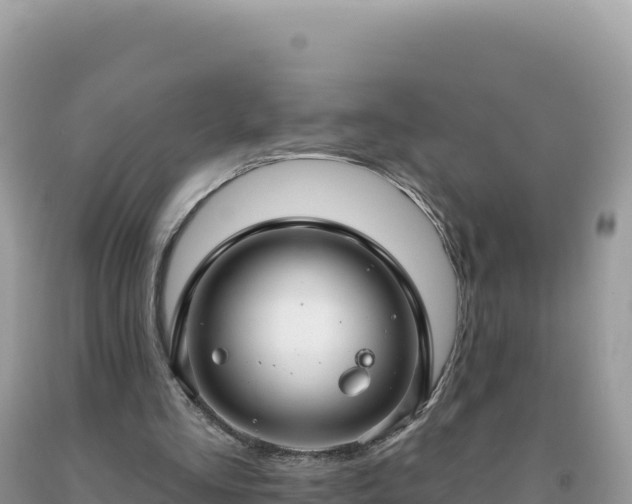 X0000093740293200710231217