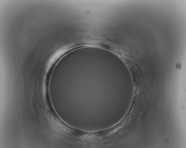 X0000093740294200710231217