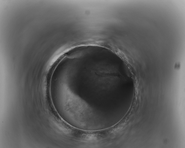 X0000093740295200710231217