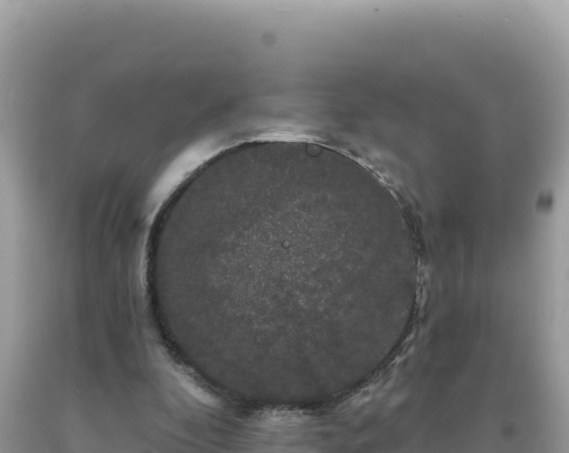 X0000093740296200710231217