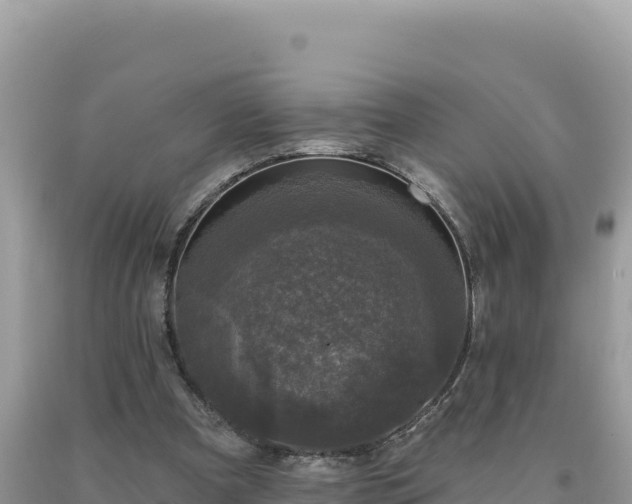 X0000093740297200710231217