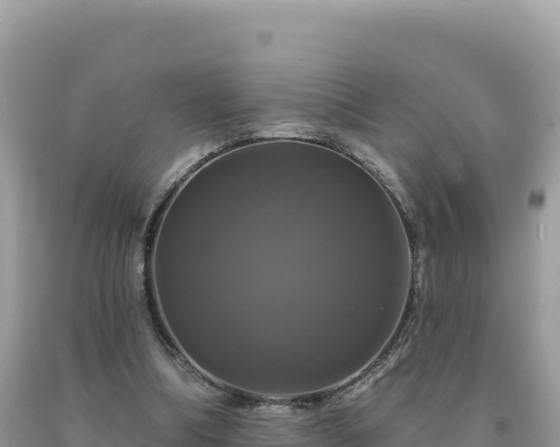 X0000093740298200710231217