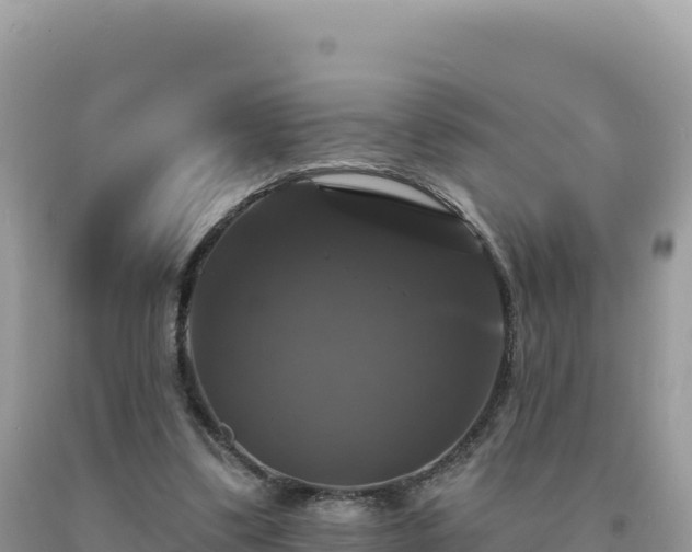 X0000093740299200710231217