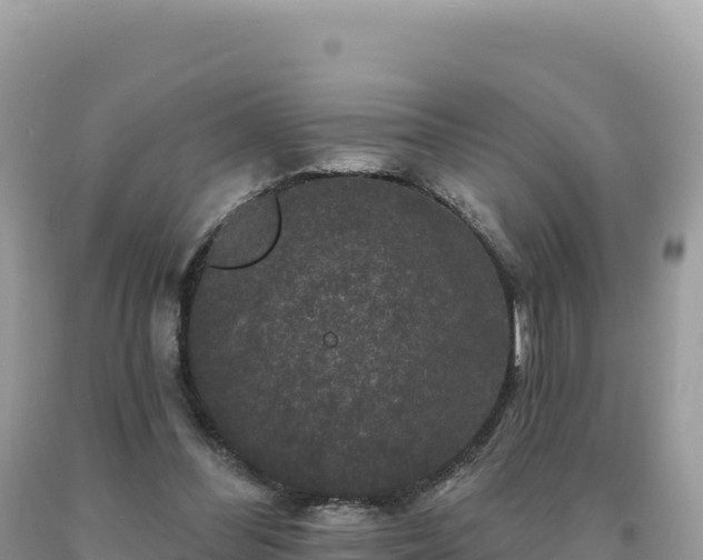 X0000093740300200710231217