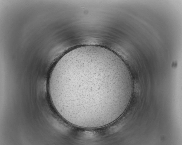 X0000093740302200710231217