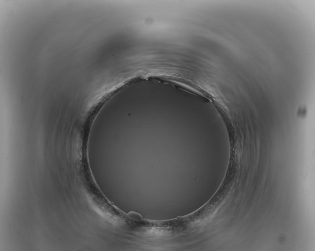 X0000093740303200710231217