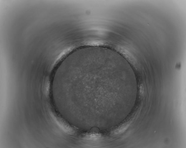 X0000093740304200710231217