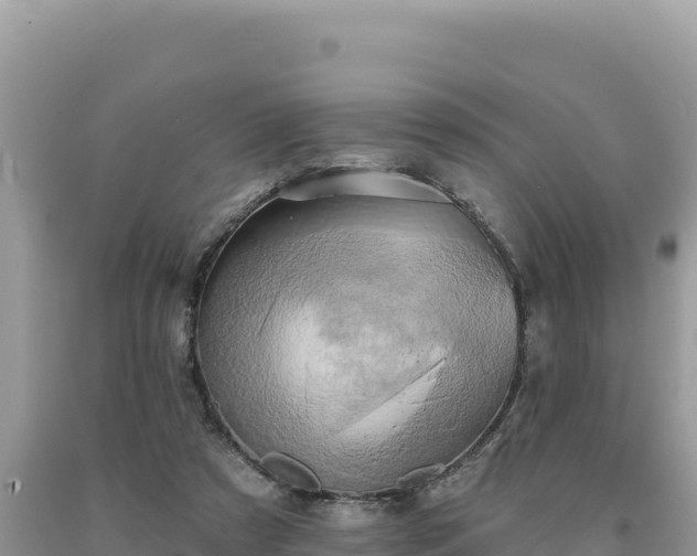 X0000093740305200710231217