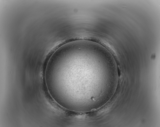 X0000093740306200710231217