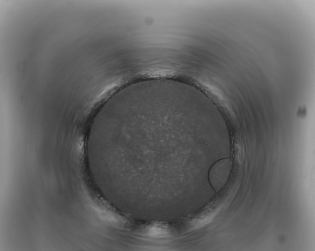 X0000093740308200710231217