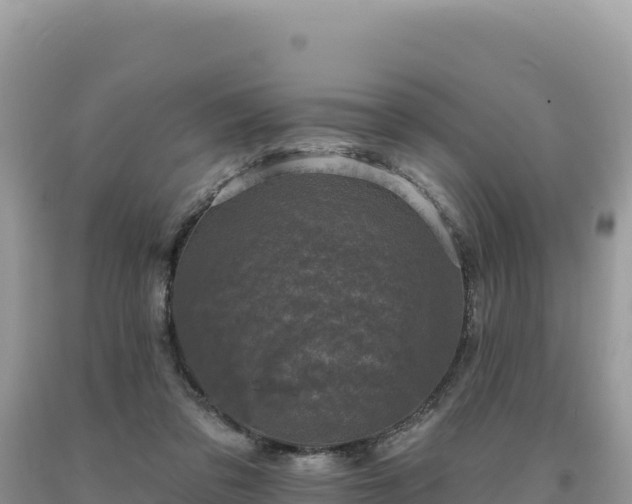 X0000093740309200710231217