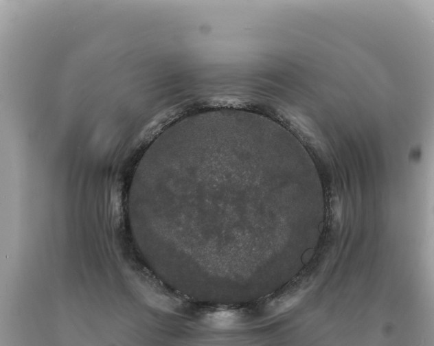 X0000093740312200710231217