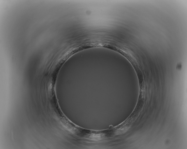 X0000093740314200710231217