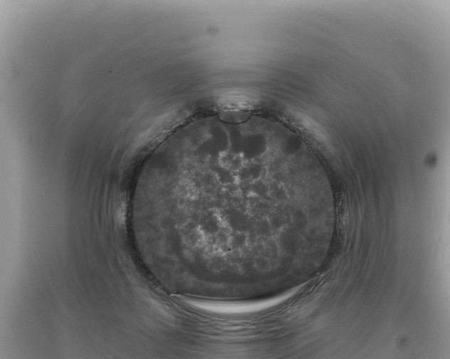 X0000093740315200710231217