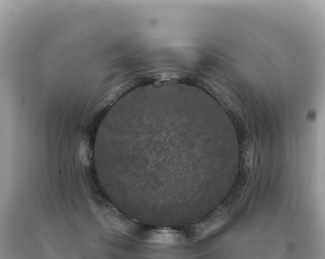 X0000093740316200710231217