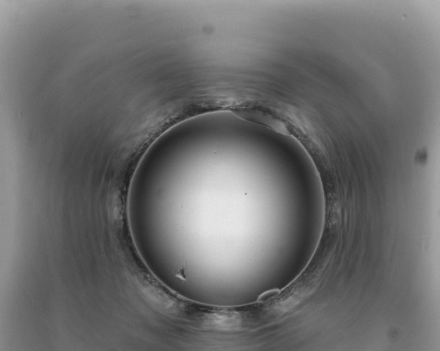 X0000093740317200710231217