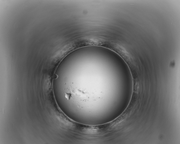 X0000093740318200710231217