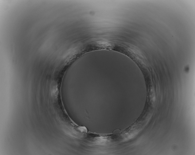 X0000093740320200710231217