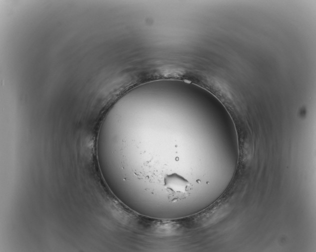 X0000093740321200710231217