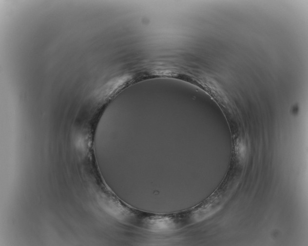 X0000093740322200710231217