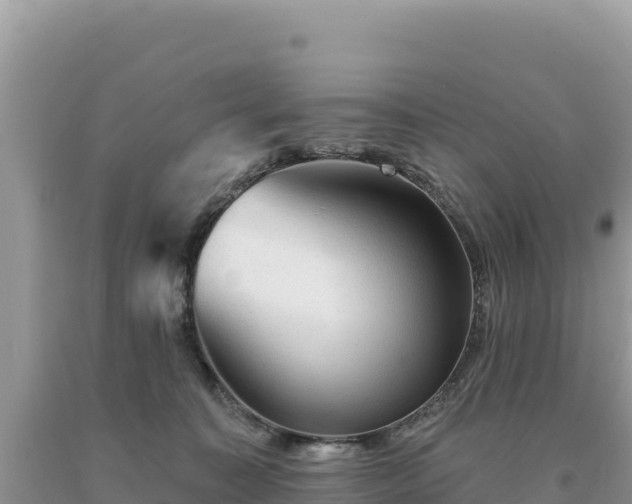 X0000093740323200710231217