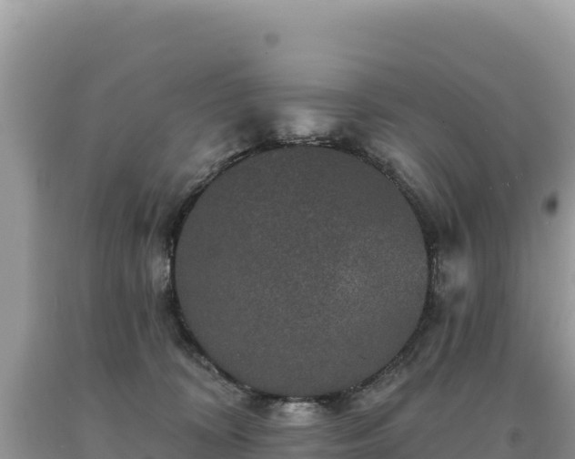 X0000093740324200710231217