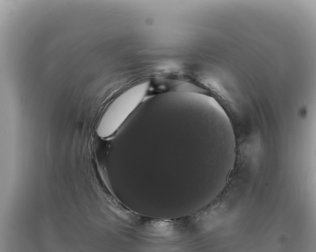 X0000093740325200710231217