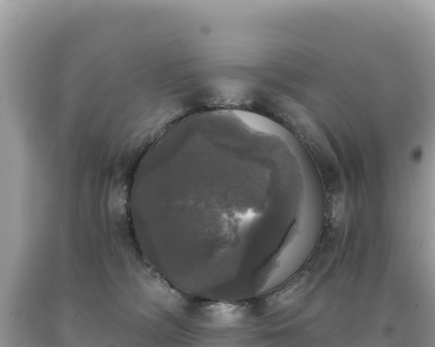 X0000093740326200710231217