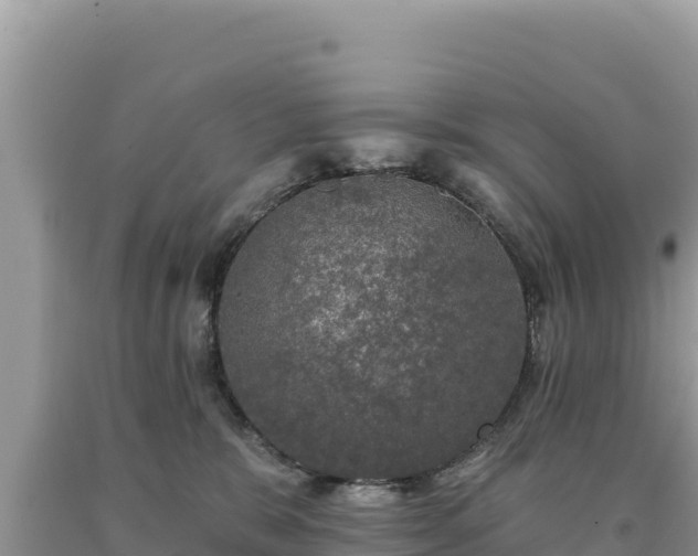 X0000093740327200710231217