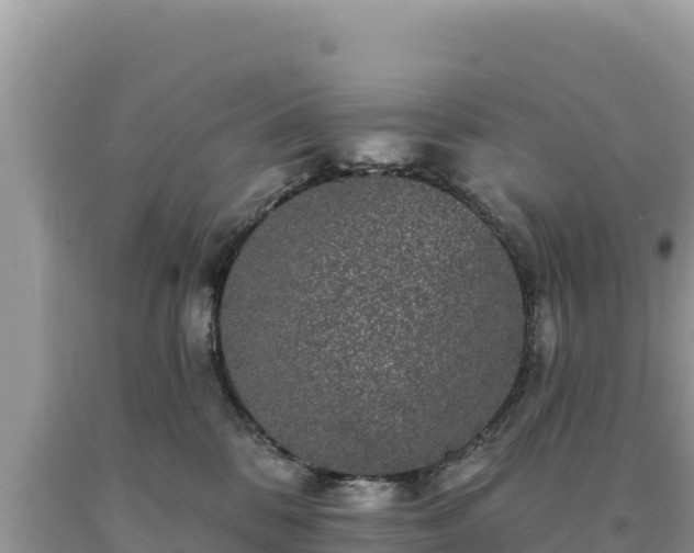 X0000093740328200710231217