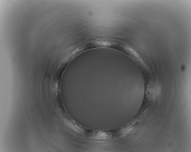 X0000093740330200710231216