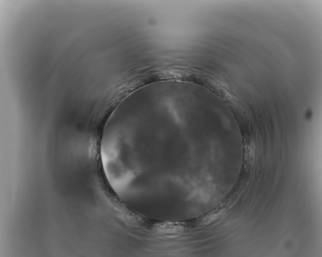 X0000093740331200710231216