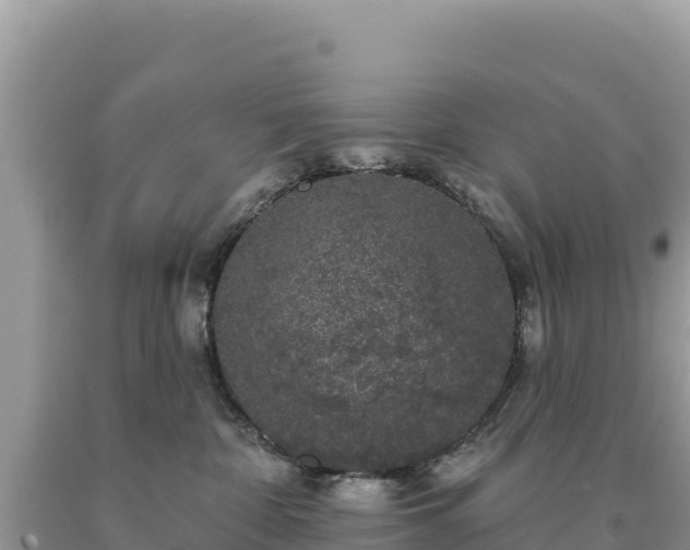 X0000093740332200710231216