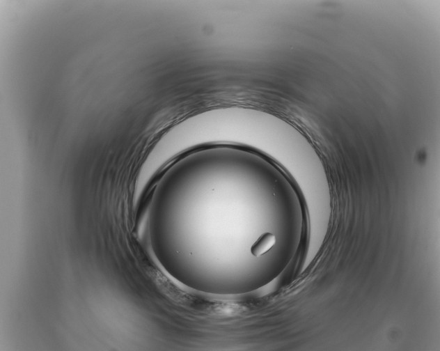 X0000093740333200710231216