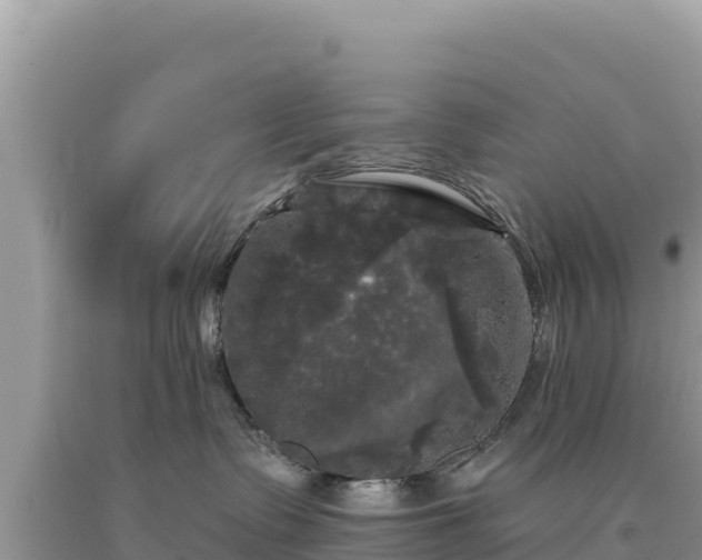 X0000093740335200710231216