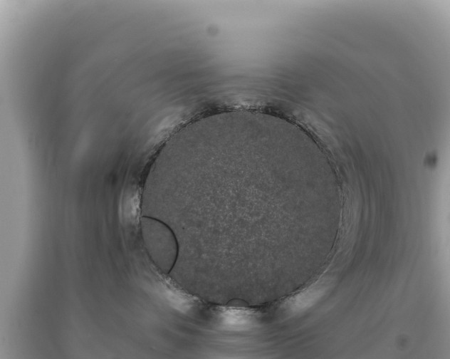 X0000093740336200710231216