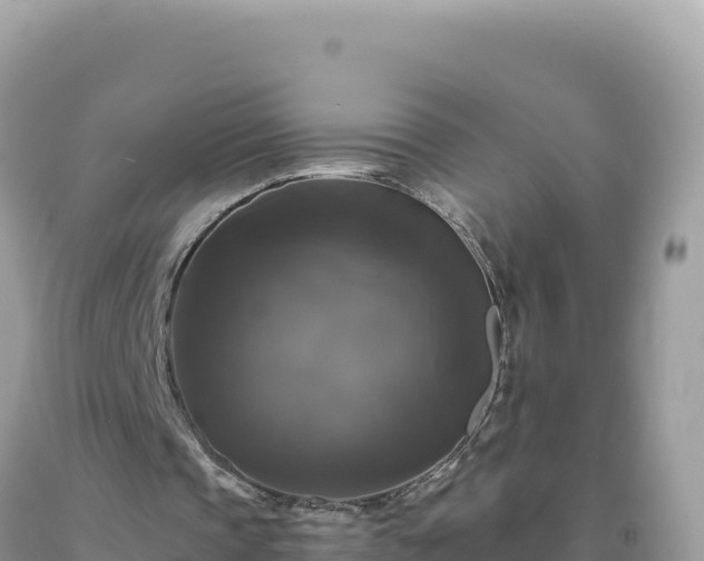 X0000093740337200710231216